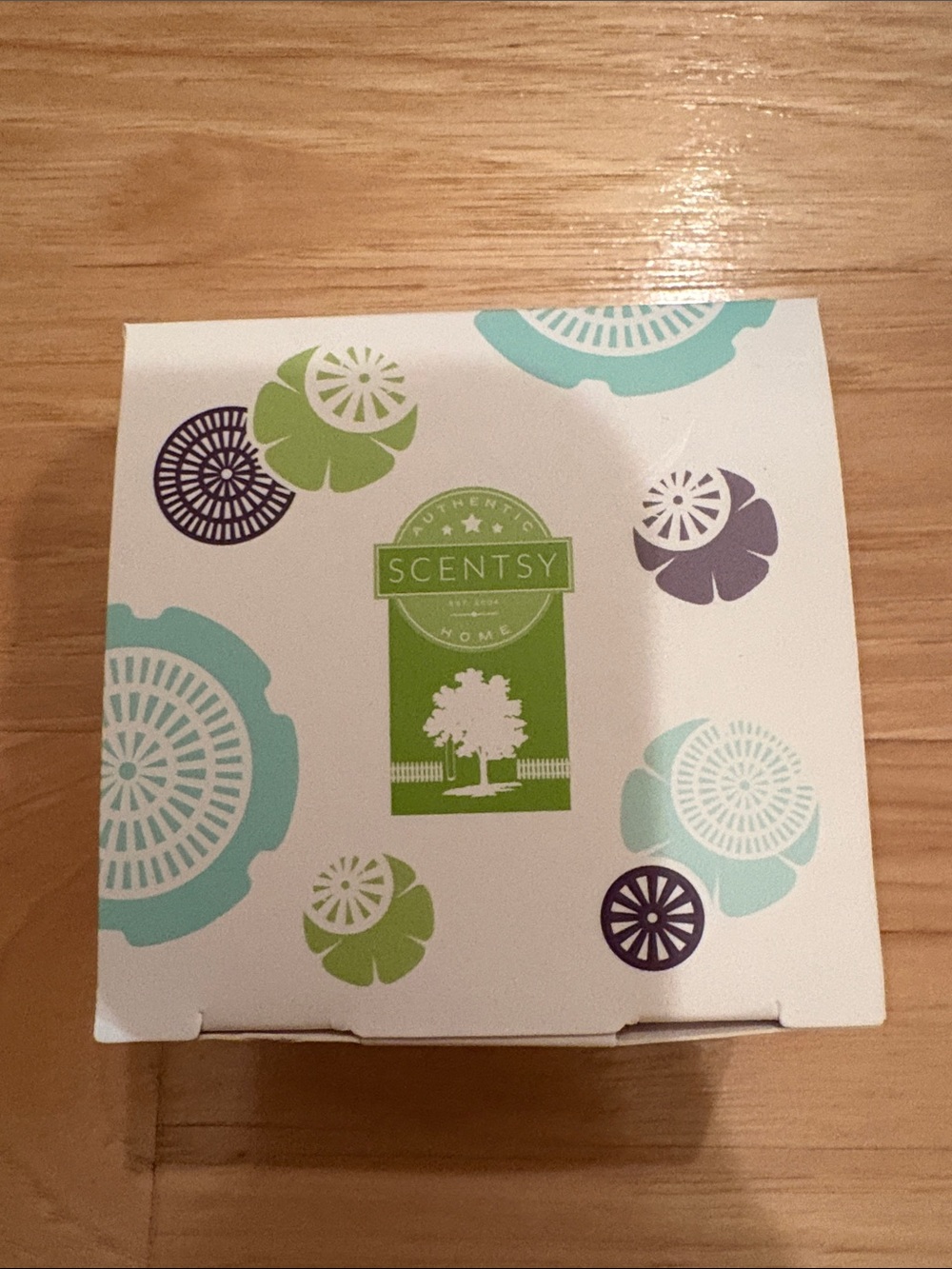 Scentsy mini fan diffuser